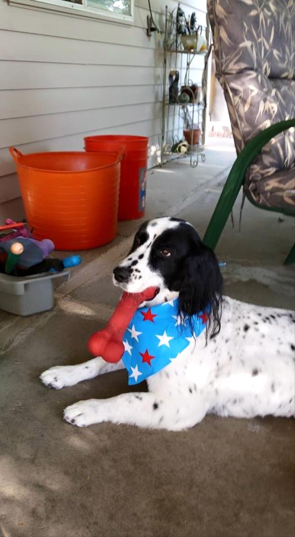 /Images/uploads/Humane Society of Utah/HSUCalendar/entries/1166thumb.jpg